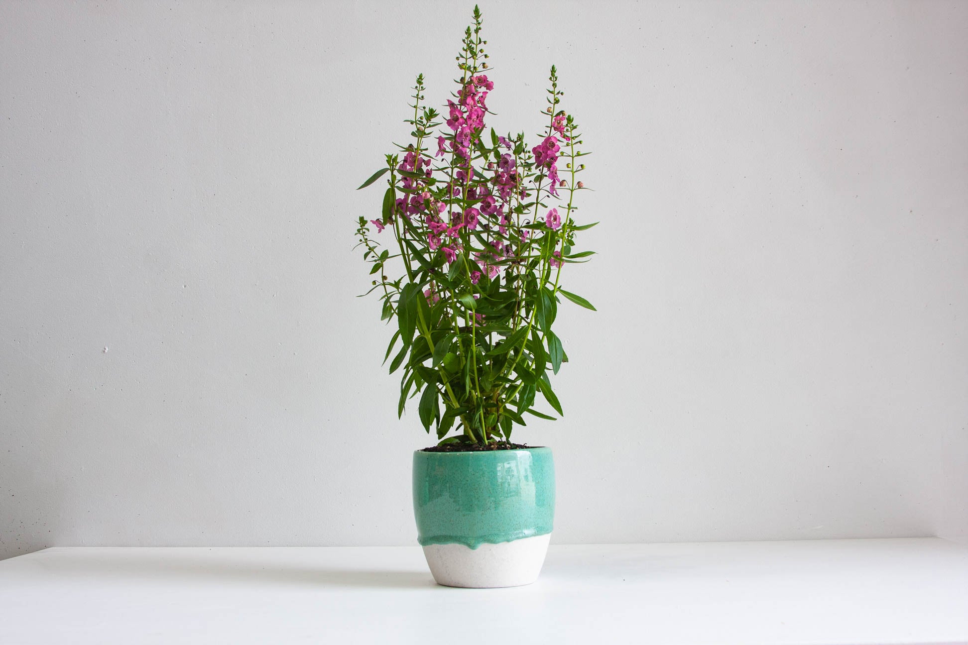 handmade ceramic green planter