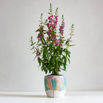 handmade ceramic orange, purple and green planter