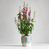 handmade ceramic orange, purple and green planter