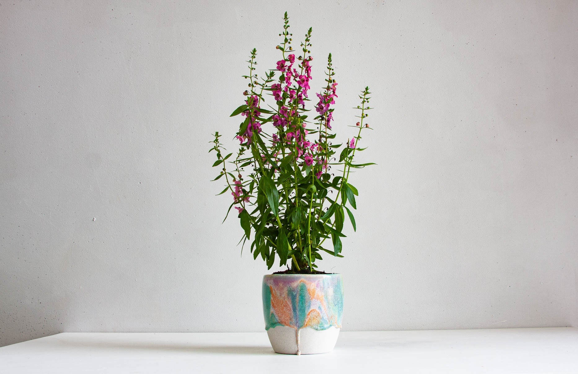 handmade ceramic orange, purple and green planter