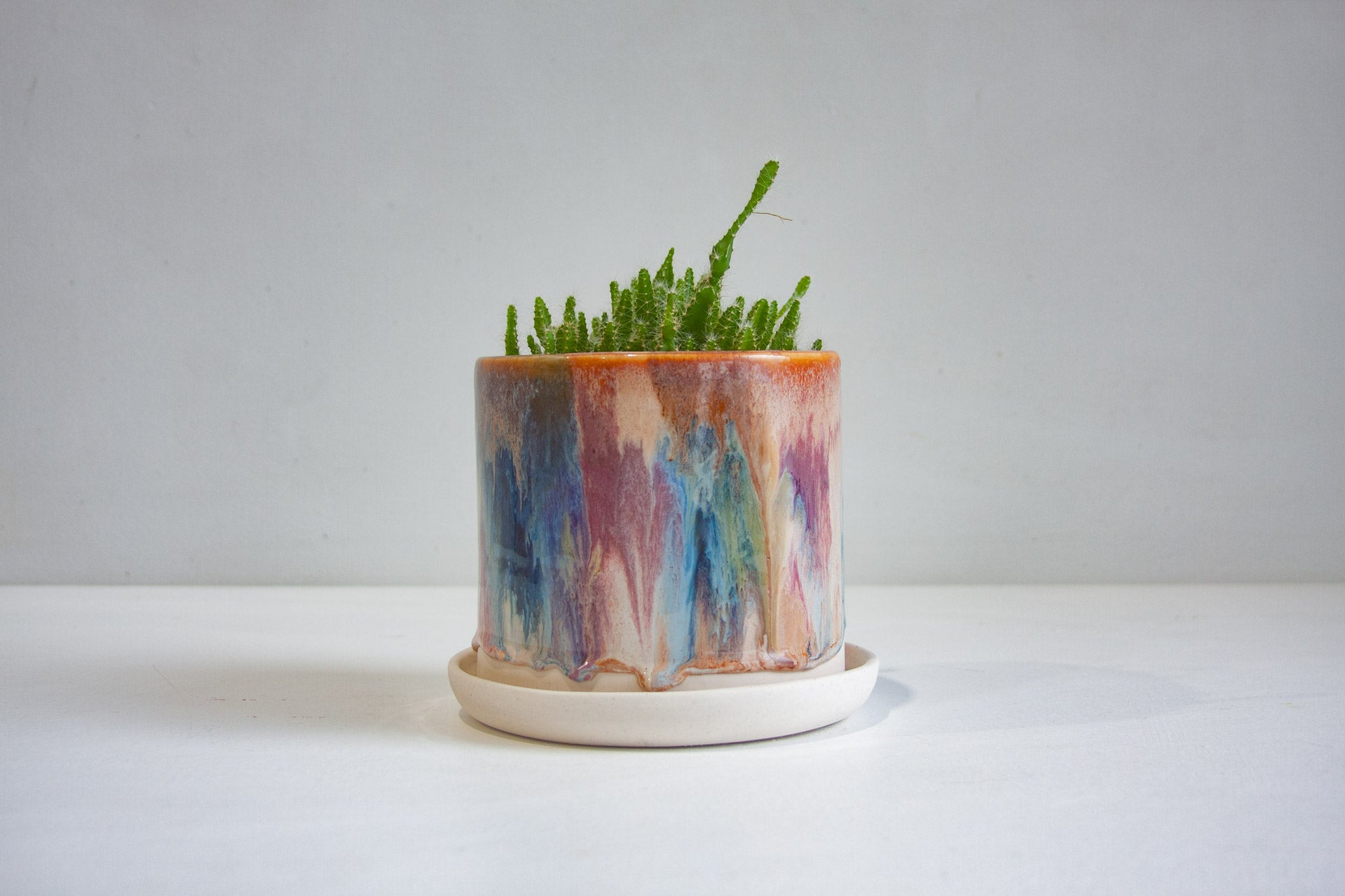 handmade ceramic planter holding a cactus plant