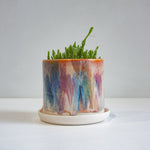handmade ceramic planter holding a cactus plant