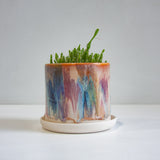 handmade ceramic planter holding a cactus plant
