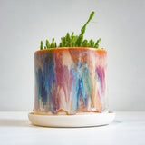 handmade ceramic planter, sitting on ceramic saucer
