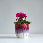 handmade ceramic dark pink planter