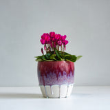 handmade ceramic dark pink planter