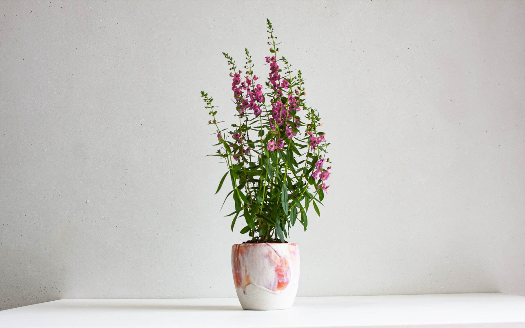 handmade ceramic soft pinks and creams planter