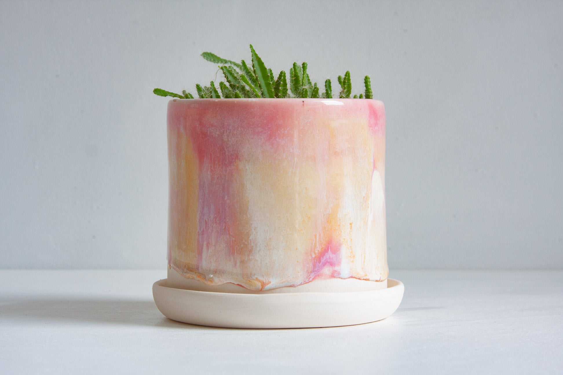 A cylindrical planter with a pink, peach, and cream marbled glazed finish, sitting on a matching cream-colored saucer and holding a small green succulent, set against a neutral light gray background.