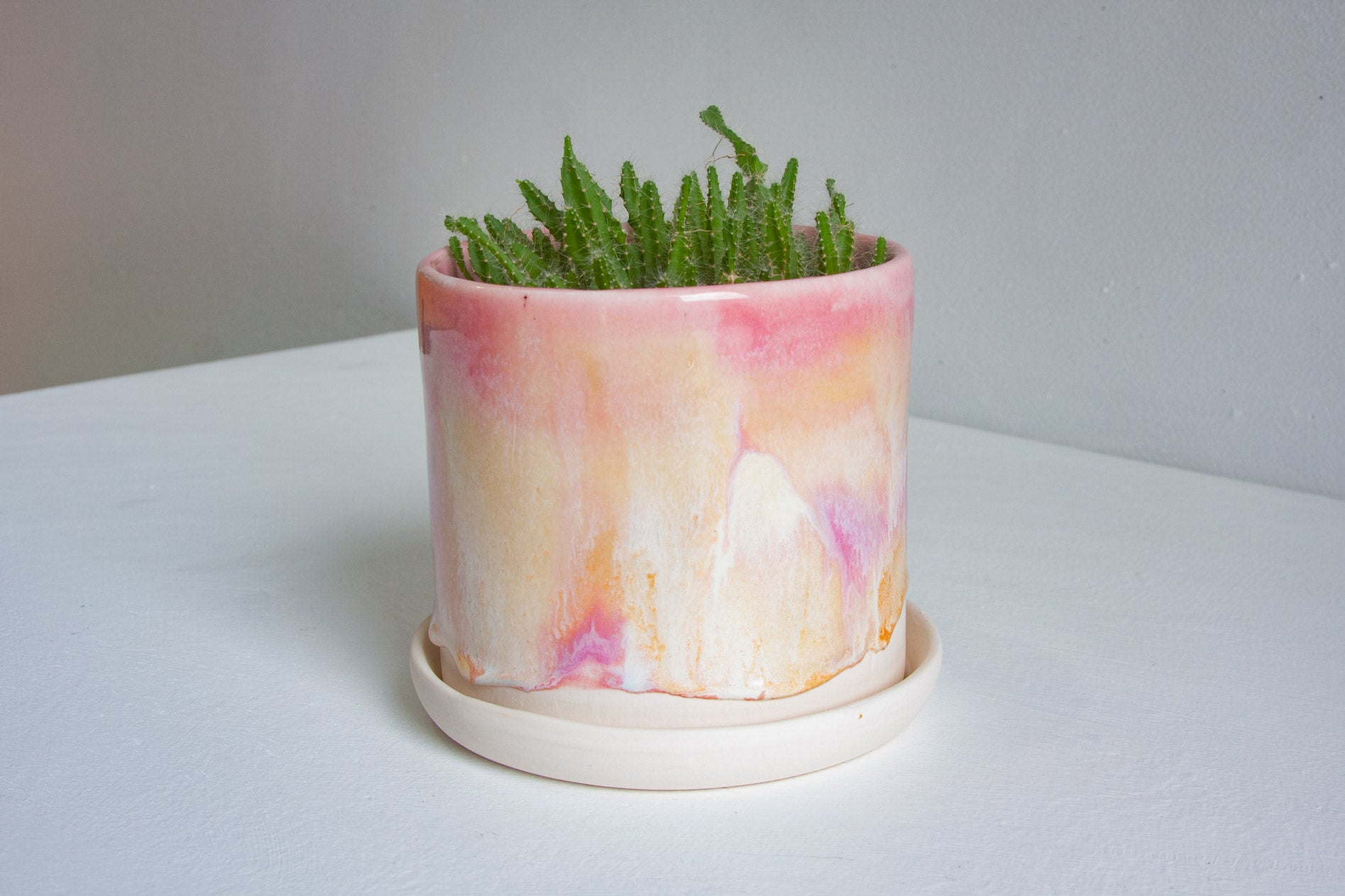 A cylindrical ceramic planter with a pink, peach, and cream marbled pattern, containing green fern-like foliage, sitting on a matching cream-colored saucer against a neutral light gray background.