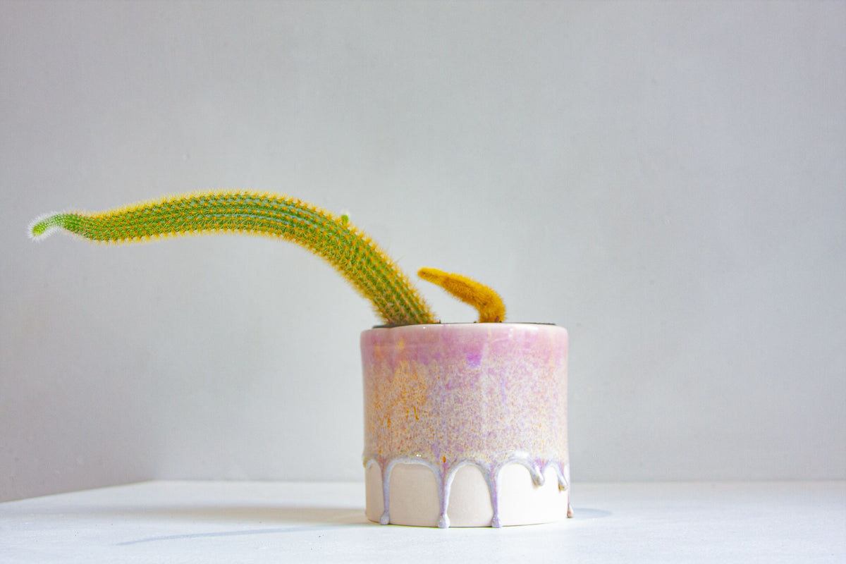 Rhiannon Gill Ceramics Handmade Ceramic Planter - Buttered Lilac