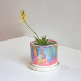 succulent plant sitting in a handmade ceramic rainbow planter and saucer.