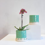 two handmade ceramic drippy green planter, one sits on a white plinth the other beside it on the table.