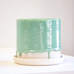 handmade ceramic green glaze planter sits on a unglazed ceramic saucer.