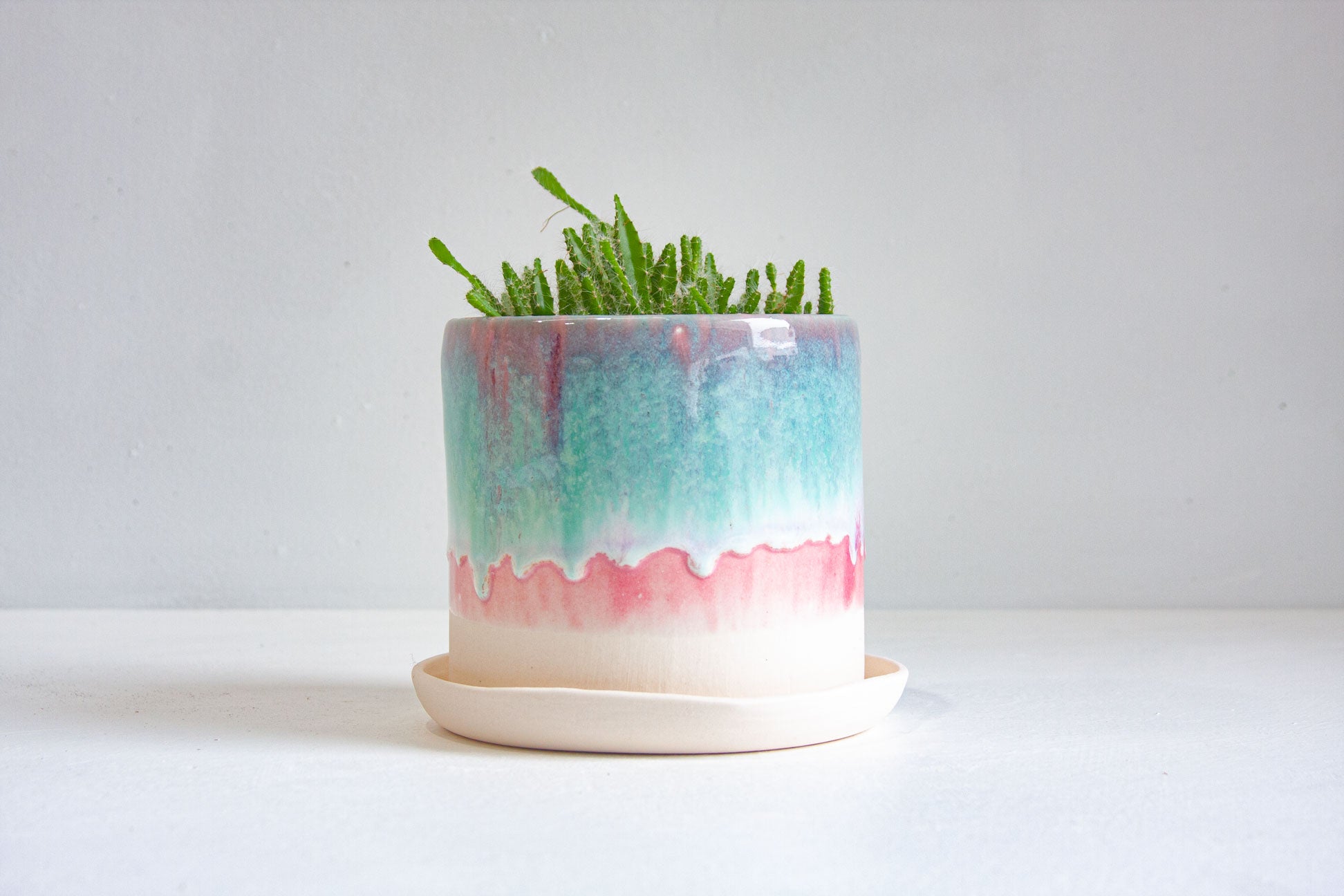 A small potted succulent in a glazed ceramic planter with a matching saucer. The planter features a dripping glaze design transitioning from teal and lavender-purple at the top, through white, to a dusty pink at the bottom, with a plain off-white base.