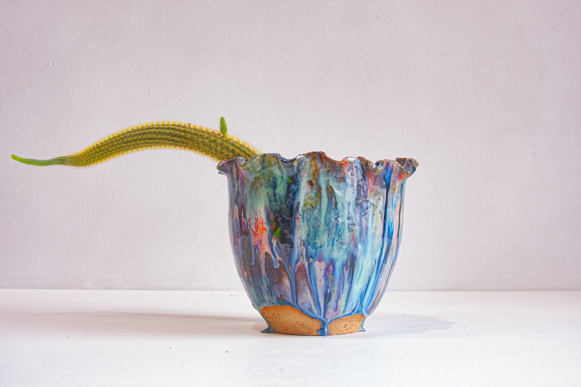A handmade ceramic vessel with a ruffled rim in blue, teal, purple and orange, holding a single trailing cactus stem that arches out to the left, on a white surface against a pale wall.
