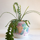 Seconds Sale Handmade Ceramic Large Planter - Sugared Almond