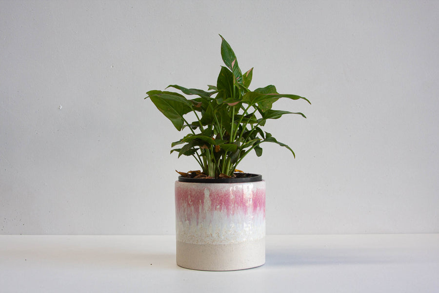 handmade ceramic pink and white planter pot